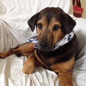 Meet your Posher, Marlo